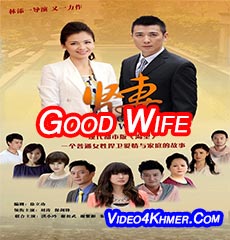 Good Wife 2012